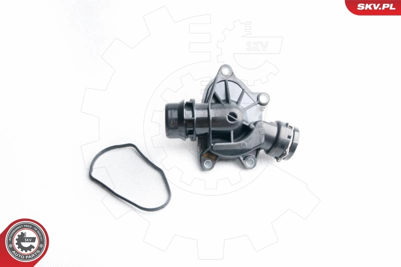 Thermostat, coolant